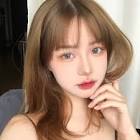 红杏网站入口