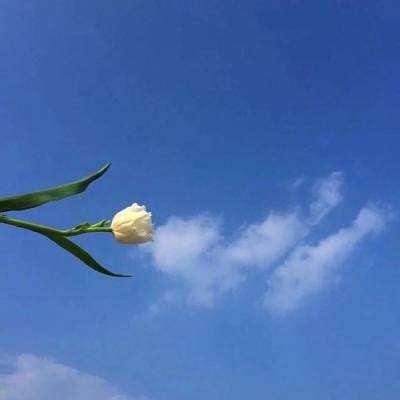 5G成人视讯