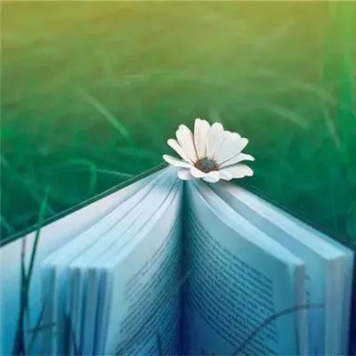 蜡笔小新整理房间