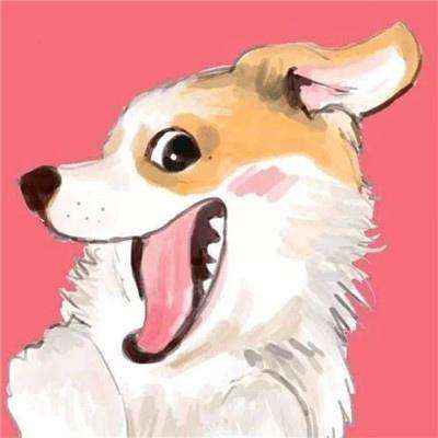 纸风船