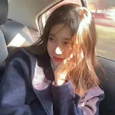 驯兽师商人中文版