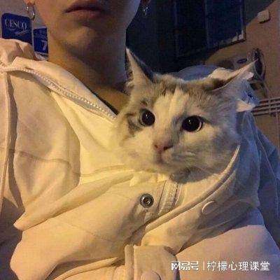 超级接龙