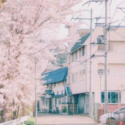 ZICO否认传闻