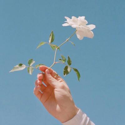 灯塔