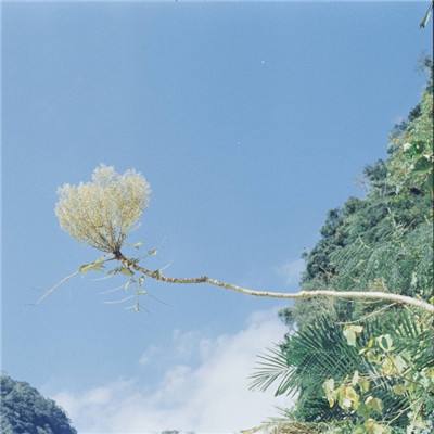 成品人片a直接观看入口 成品人片a直接观看入口