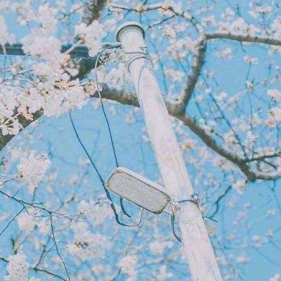 恐龙兄弟大冒险