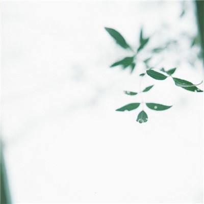 aⅴ解说水果派61期