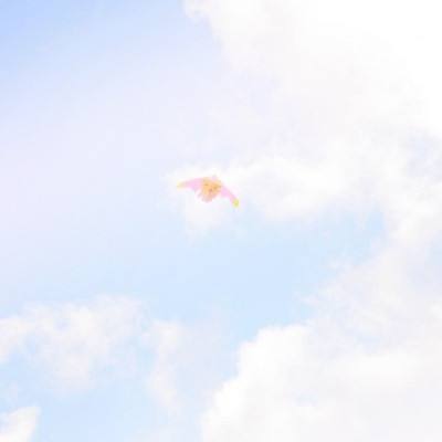 2023中国网络媒体论坛走进紫金山实验室：巡天探海 彰显实力