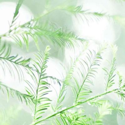 北大国际关系学院考生“蔡元培”登顶热搜！将于周末参加复试