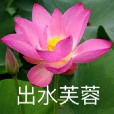 行驶在好莱坞