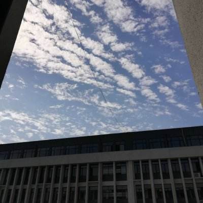 拔萝卜痛又降黄9.119
