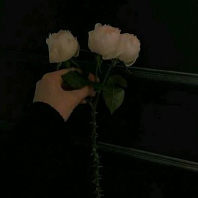 阿sue化妆比赛2