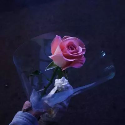劲爆摩托艇